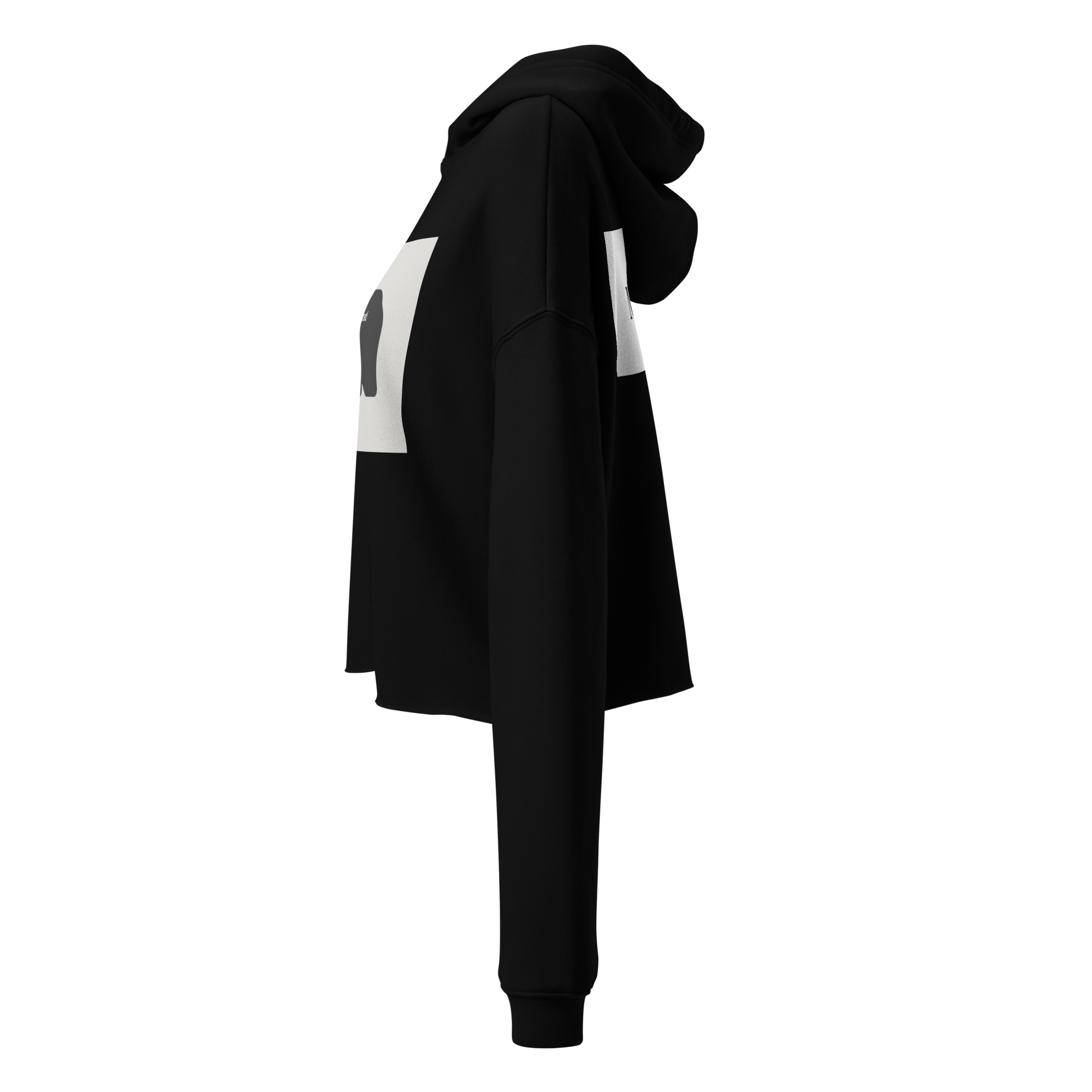 Crop Hoodie - Underestimated